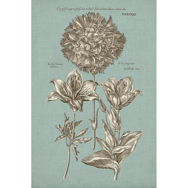 Chambray Chintz IV - Wrapped Canvas Painting, 122cm H x 81cm W x 3.8cm D