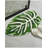 Geismar Non-Slip Bath Mat-1169459802