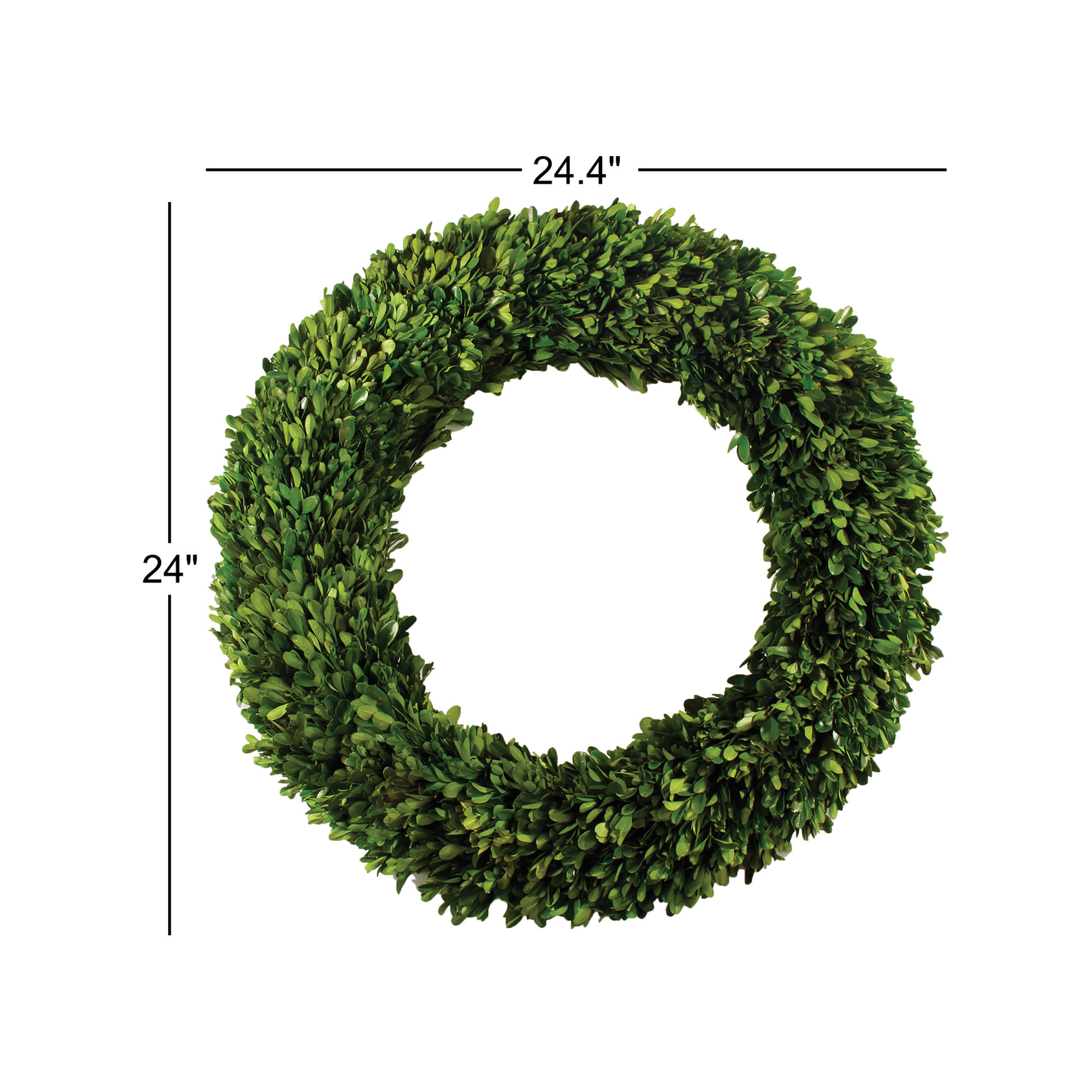 Alby Preserved Boxwood Wreath, 24" H x 24.4" W x 4.7" D