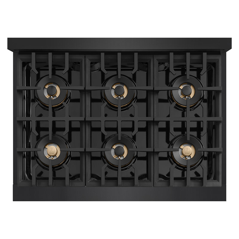 ZLINE Autograph 36 in. Classic Gas DuoPro Range in Satin Steel and Champagne Bronze Accents, Black Stainless Steel