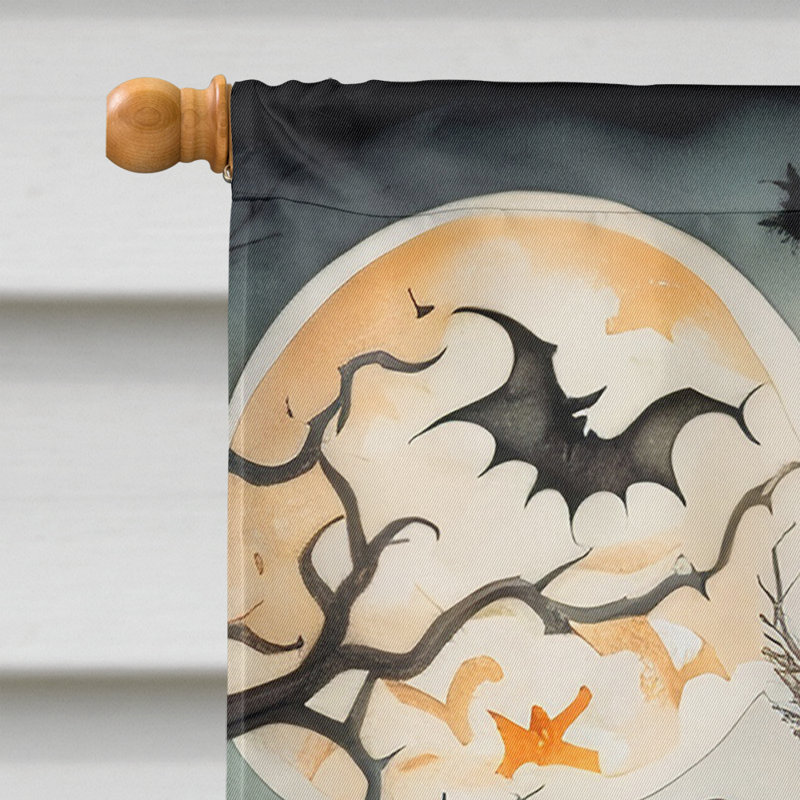 Double Sided 40'' H x 28'' W Polyester Halloween House Flag
