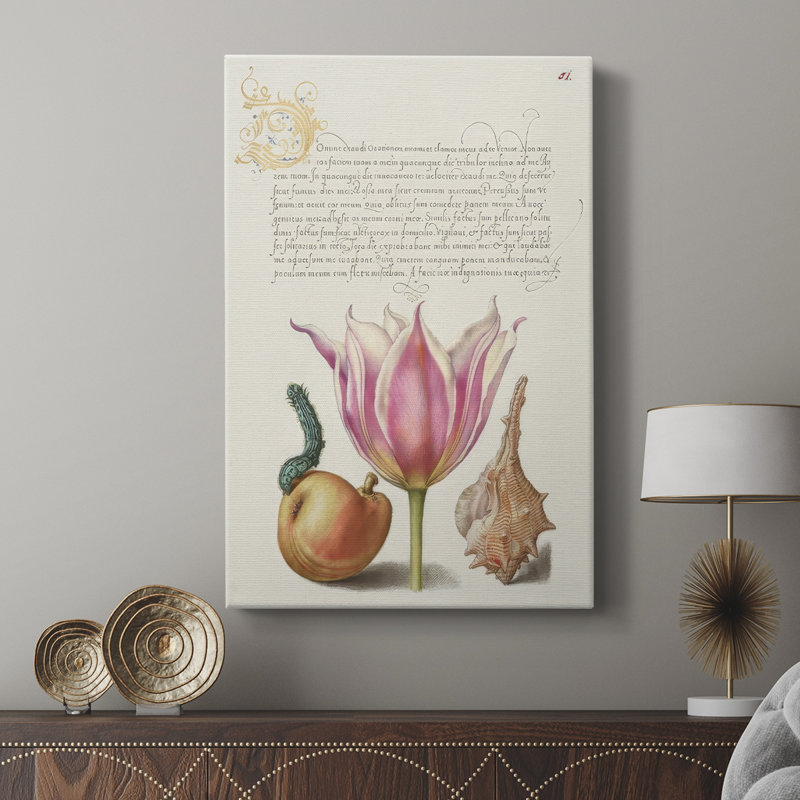 Hoefnagel, spéculation tropicale IV - galerie Cavas sur mesure, H 18 po x l 12 po