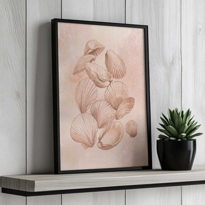 «Saltwater Shell Study I» par Grace Popp, reproduction d'art