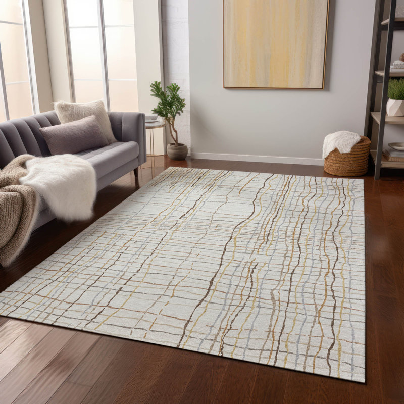 Machine Washable Indoor/Outdoor Chayden ACN998 Rug, Rectangle 9' x 12'