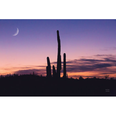 Desert Moons by Nathan Larson - Wrapped Canvas Print