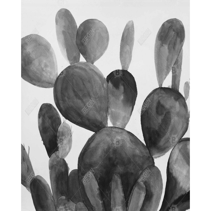 Plante cactus à palette de gris | Décor de toile noir et blanc