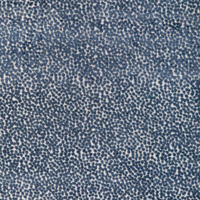 Kravet Design - 36988-8
