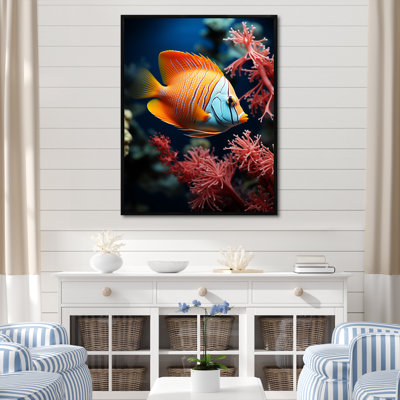 " Beautiful Blue And Orange Butterflyfish "