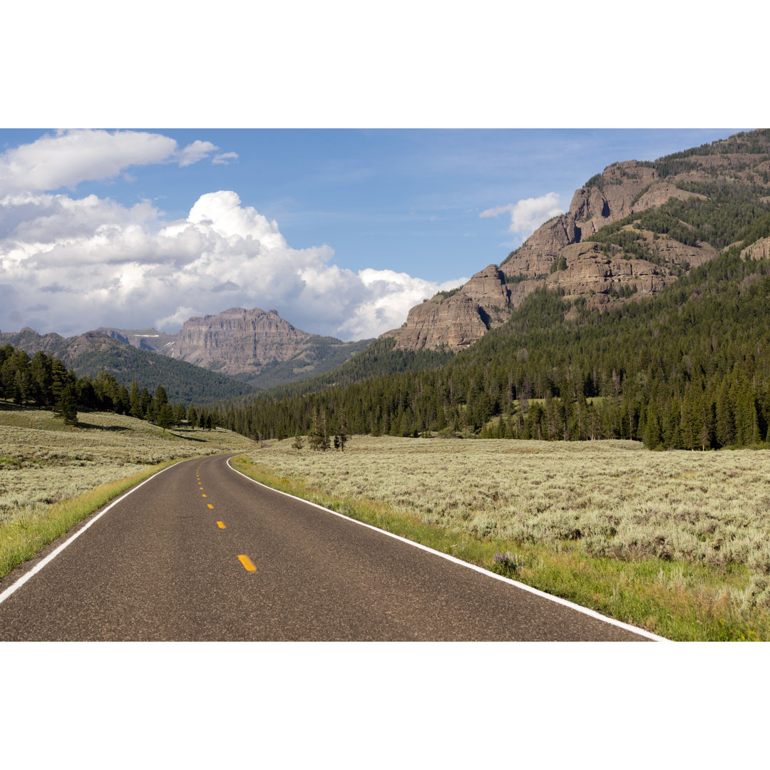 Yellowstone National Park
