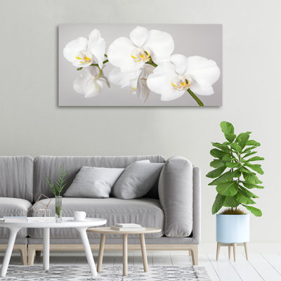 Orchid - Print