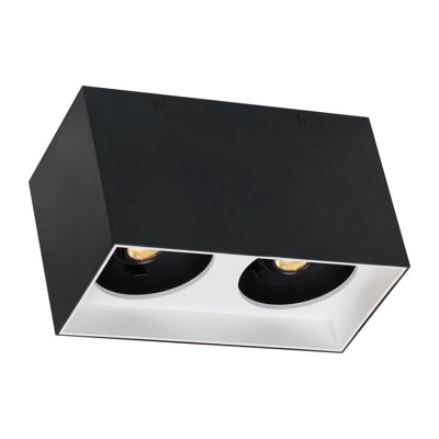 Exo 2 - Light LED Flush Mount