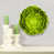 Lime n'est pas disponible