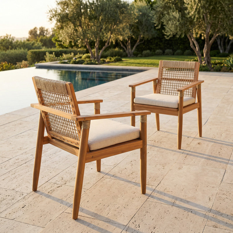 Chaises de salle à manger d'extérieur, fauteuil de patio, pour cour, piscine, jardin, ensemble de 2