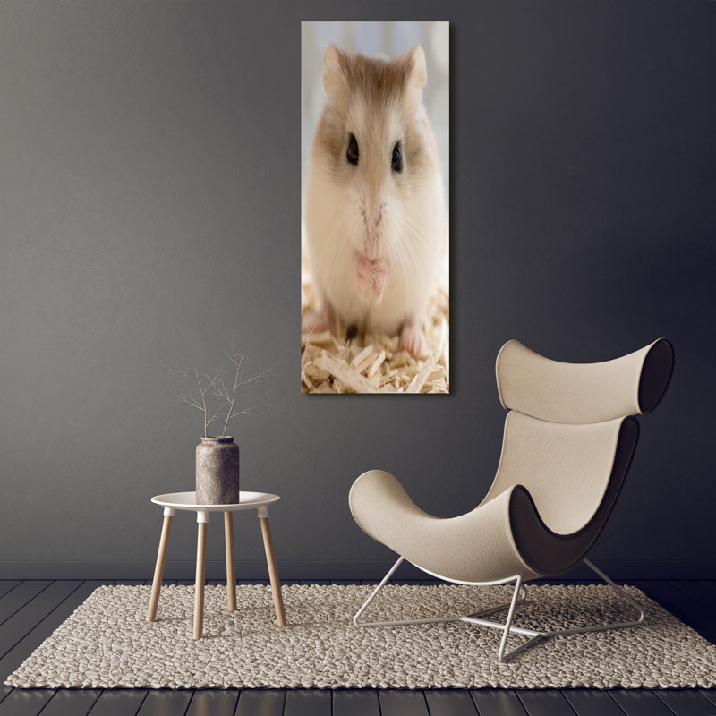 Hamster - Wrapped Canvas Print