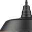 Luminaire suspendu d'extérieur 1 lumière Aleydis