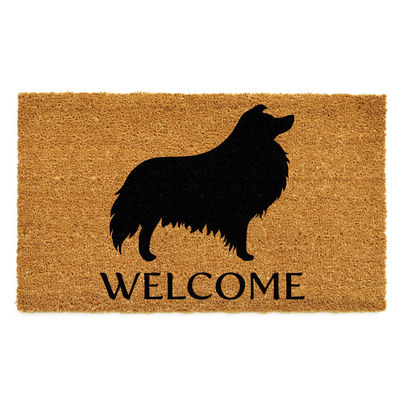 Tapis d'intérieur antidérapant Collie, l 24 po x L 36 po