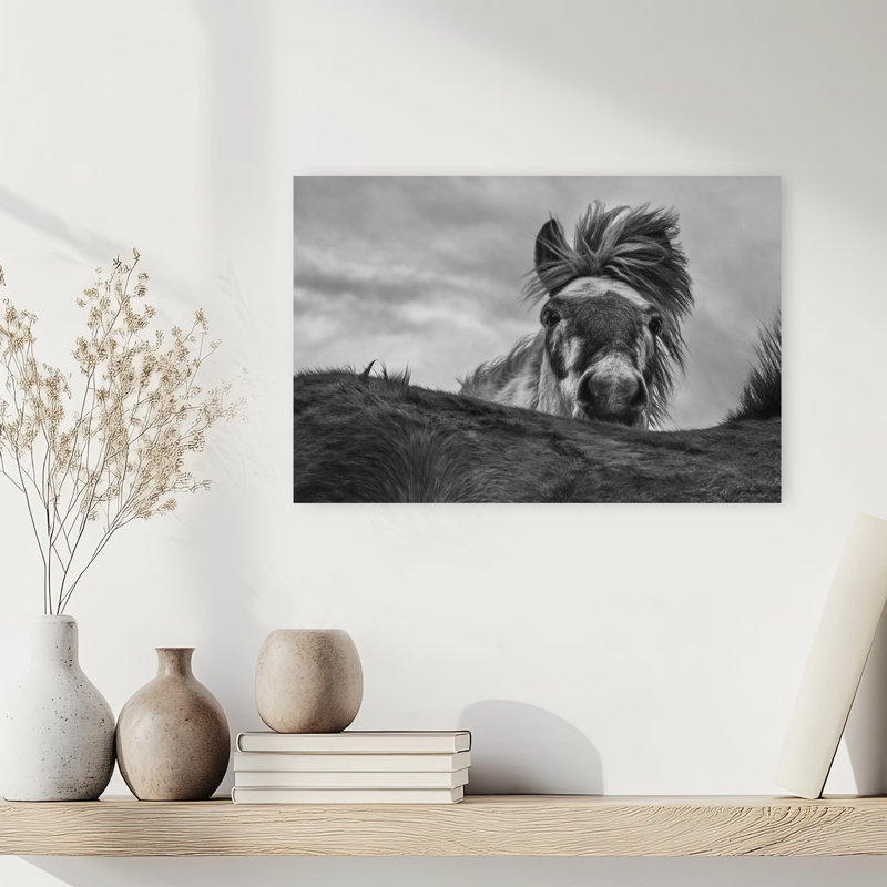 Curious Horse Wild Mane Dramatic Abstract Contemporary Horse Nature Portrait Wall Art Print by Bragi Ingibergsson - - Wrapped Canvas Print