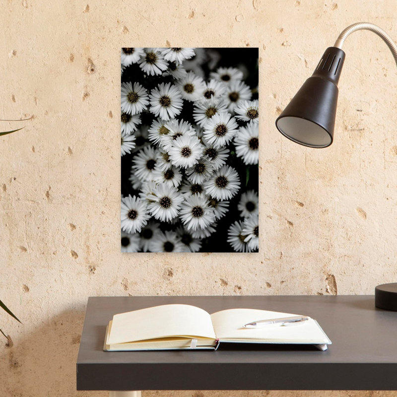 Print, 45.72cm H x 30.48cm W
