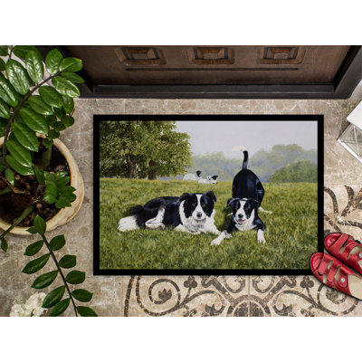 Venedocia Non-Slip Outdoor Doormat