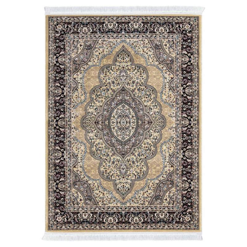 Alsey Oriental Area Rug, Rectangle 80 x 150cm