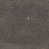 Black Shagreen Antique