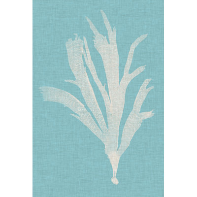 Seaweed Pop IV by Vision Studio - Painting on Canvas