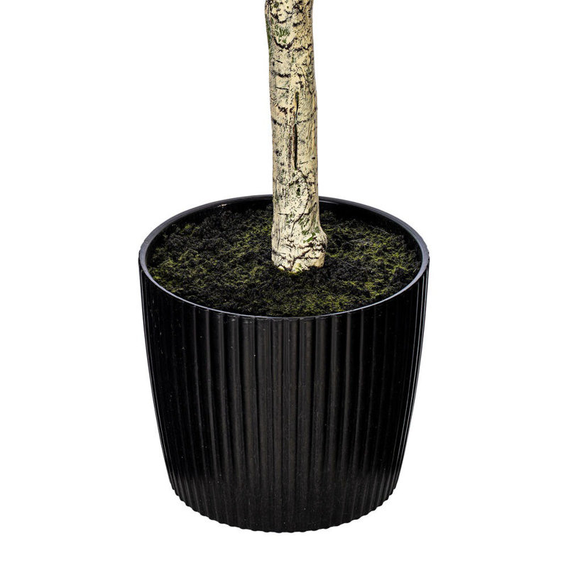 Olive verte artificielle dans un pot de fleurs noir, H 60 po x l 24 po x P 24 po