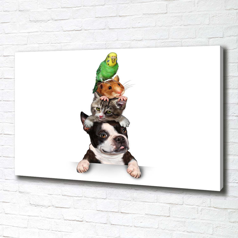 Group Of Animals - Wrapped Canvas Print
