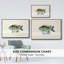 «Tropical Fish Collection VI», reproduction sur toile à cadre flottant-94354120-94354108