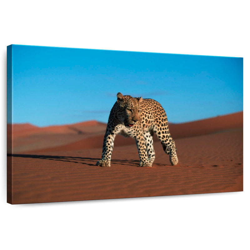 Crowle Desert Leopard, 8" H x 12" W