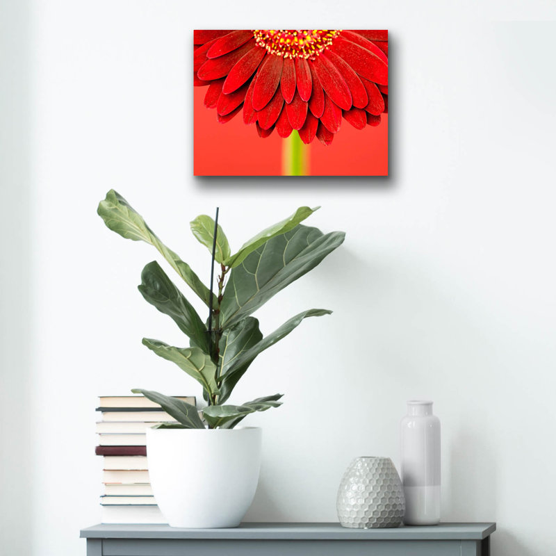 "Red Gerbera On Red 04" par Tom Quartermaine, H 12 po x l 16 po x P 0,13 po