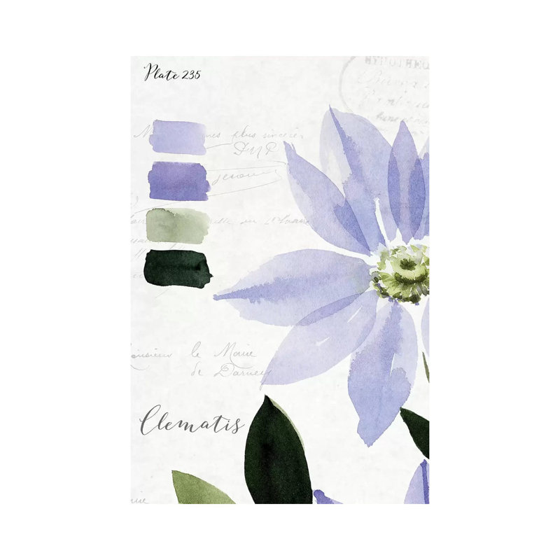 Clematis by Stephanie Ryan - Painting on Canvas, Wrapped Canvas, 45.72cm H x 30.48cm W x 1.91cm D