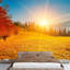 Paysage d'automne coloré avec paysage d'automne coloré Carpates-93997265