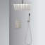 Pomme de douche 16 po et fixation au plafond à main - Finition nickel brossé, laiton avec douchette, nickel-127368518