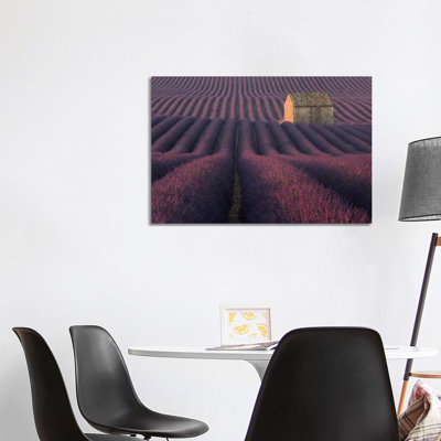 Lavender Fields Of Provence IV by Daniel Kordan - Print on Canvas