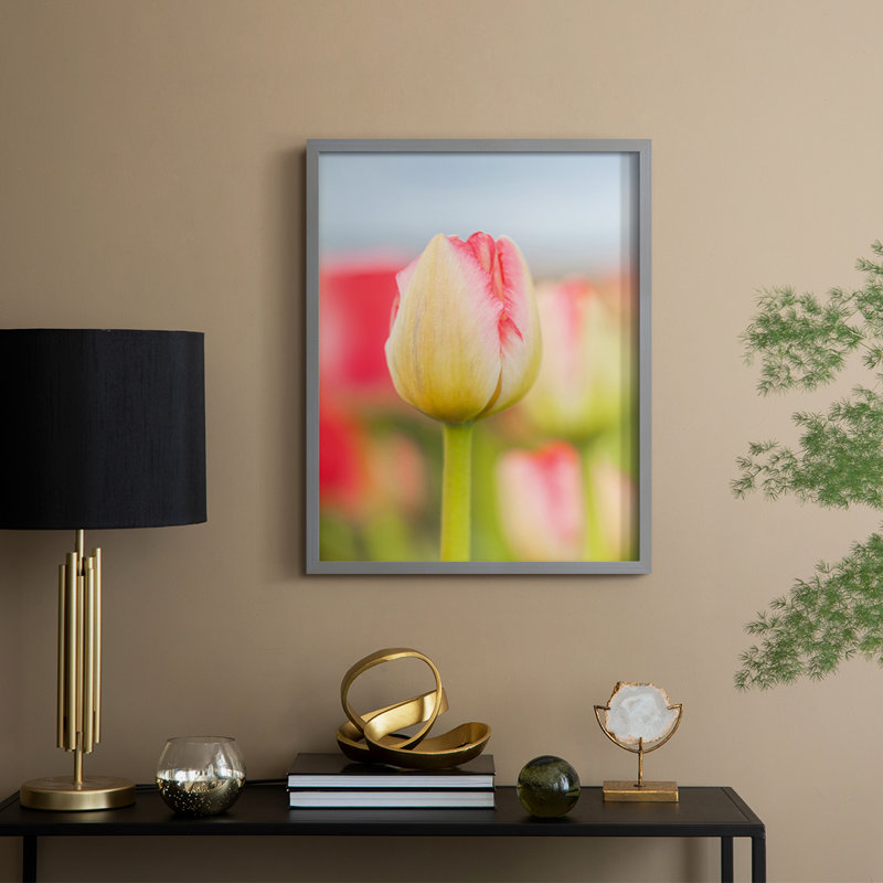 «Twotone Tulip», reproduction encadrée - bois massif, H 30 po x l 24 po, Gris