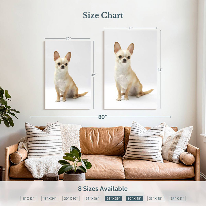 Brampt Seated Chihuahua, 39" H x 26" W
