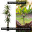 Yucca artificiel fait à la main avec bois véritable-1996128817