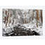 «Stream in Winter, Nova Scot, Canada - Horizontal» par Scott Leslie - reproduction de photo sur toile tendue-30270266-72560658-72560652