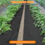 Heavy Duty Weed Control Membrane – 3.2 oz, 6 ft x 300 ft Landscape Fabric, Ideal for Patios, Gardens, Flower Beds & Ponds-130756746