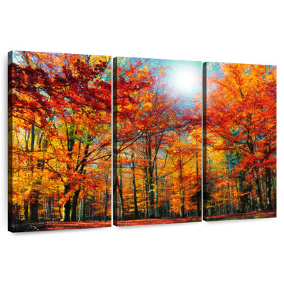 Hêtre Alvord saison d'automne