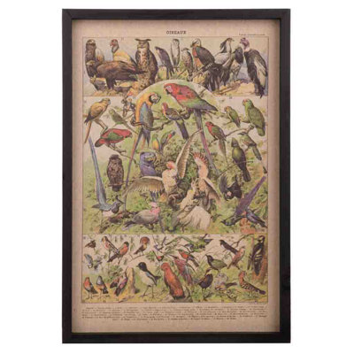 Single Picture Frame Print