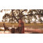 Bali Hai Latitude Dining Table with Glass Top-33947595