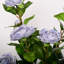 Arrangement floral de pivoines Tuomo-1007344008