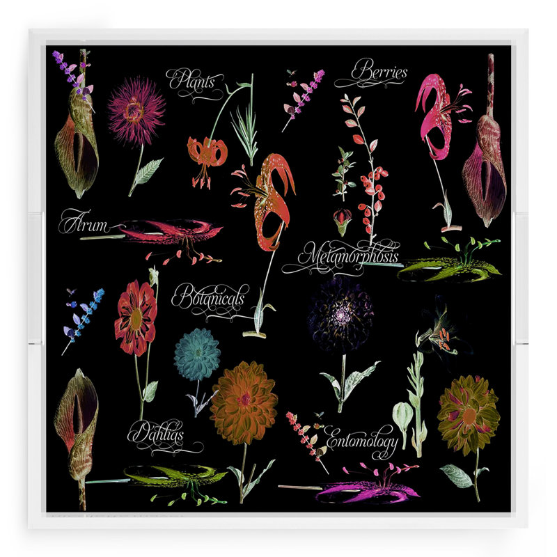 Botanicals Xray Acrylic Square Decorative Tray, Red, 18"W x 18"D x 2"H