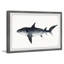 Sandie 'Big Shark' Framed Print-1854955525