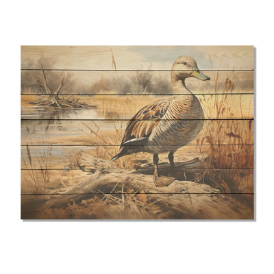 «Waddling Duck In The Countryside II - Canard sur bois»