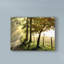 « matinée graze ii », reproduction de photo sur toile tendue-33425761
