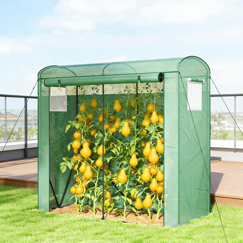 Serre stable, mini serre, Vert