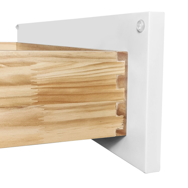 Armoire de base en bois massif à 2 portes à fermeture en douceur avec tablette pour le rangement de la buanderie et du salon